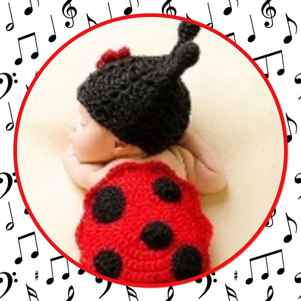 🐞NEW🐞Cute “Lil Ladybug” Photo Prop 2 PC Set🐞